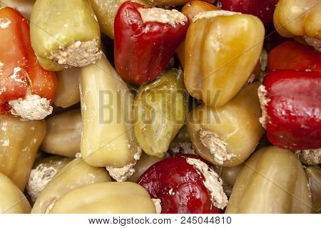 Semi Prepared Bulgarian Stuffed Peppers. Frozen Food.