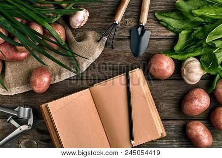 Gardening Tools And Fresh Vegetables Over Wooden Background. Potatoes, Garlic, Green Onions And Sorr