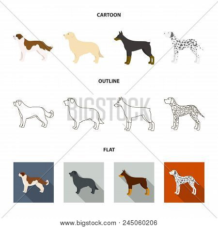 St. Bernard, Retriever.doberman, Labrador. Dog Breeds Set Collection Icons In Cartoon, Outline, Flat