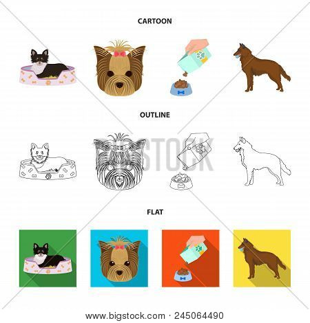 A Dog In A Lounger , A Muzzle Of A Pet, A Bowl With A Feed, A Sheepdog With A Ball In His Teeth. Pet