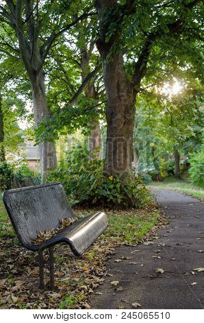 A Pathway And Bench In Autumn In Backhouse Park, Sunderland