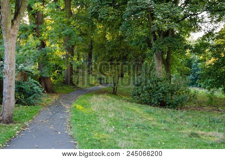 A Pathway In Autumn In Backhouse Park, Sunderland
