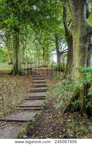 The Curved Stairway At Backhouse Park, Sunderland, In Autumn