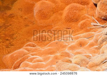 Copper Red Polluted Lake Mine In Gossan Cobre Huelva Spain