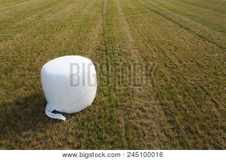 White Silage Roll Bale On A Field