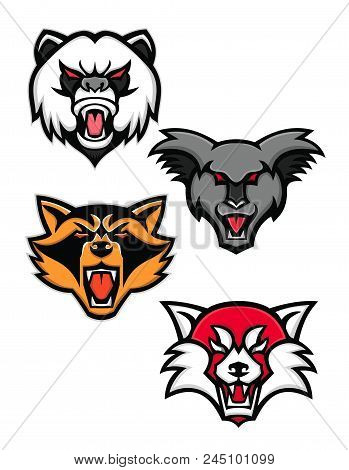 Mascot Icon Illustration Set Of Heads Of Angry Giant Panda Or Panda Bear, Koala, Racoon Or Raccoon A