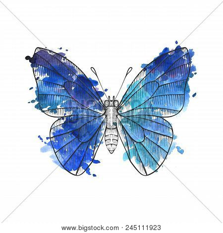 Vector Drawing Blue Butterfly With Watercolor Paint Stains, Hand Drawn Illustration