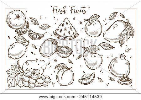 Fresh Sweet Fruit Whole And Slices Monochrome Collection. Exotic And Ripe Organic Edible Products Fu
