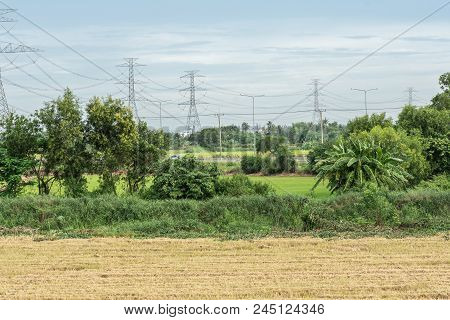 Landscape Nature Sunset On Rice Field With High Voltage Pole In Middlefield And Beautiful Blue Sky A