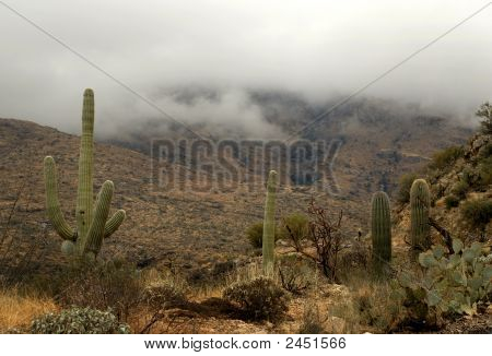 Tempesta nel deserto