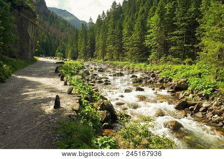 A Mountain Stream Seen On The Way To The Koscielisko Valley In Poland