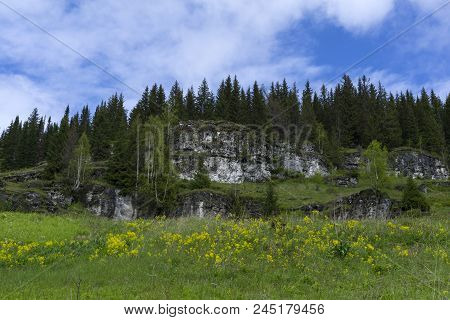 Flowering Meadow On A Mountain Slope, With Limestone Rocky Ledges And Forest In The Background