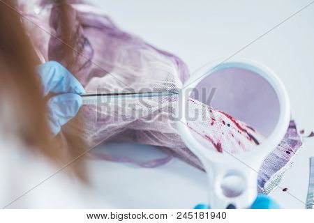 Forensic Science Expert Examining Traces Of Blood On A Piece Of Cloth Collected At A Crime Scene