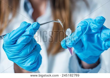 Forensic Science Expert Examining Evidence, Looking For Traces Of Dna