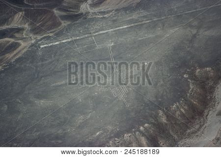 Bird Figure At Nazca Lines Seen From The Plane, Nazca Lines, Peru