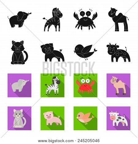 An Unrealistic Black, Flet Animal Icons In Set Collection For Design. Toy Animals Vector Symbol Stoc