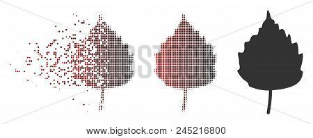 Vector Birch Leaf Icon In Fractured, Dotted Halftone And Undamaged Entire Variants. Disintegration E