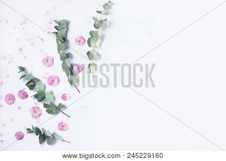 Green Floral Frame With Silver Dollar Eucalyptus And Pink Flowers Border On White Background With Co