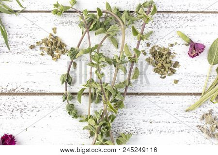 Fresh And Dry Rosemary And Sage Herbs With Edible Flowers On A Rustic Table Top