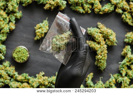 Grinder A Lot Ofx Marijuana, Fresh Buds Of Cannabis Many Weed. Copy Spase Copy-space