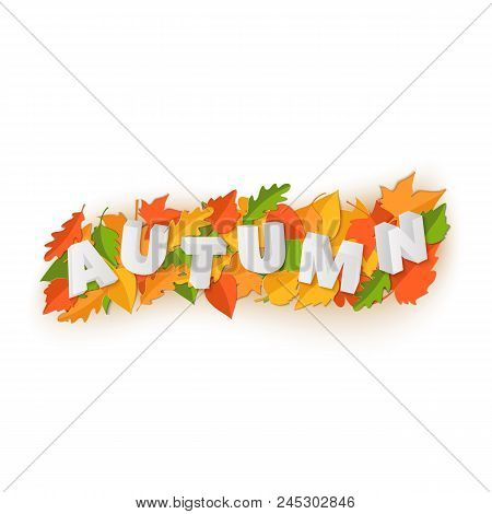 Word Autumn Composition With Green Yellow Red Leaves On White Background In Paper Cut Style. Fall Le