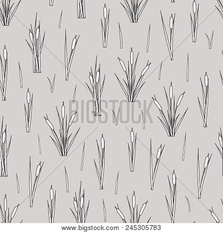 Vector Seamless Pattern Of Outline Reed Bushes.