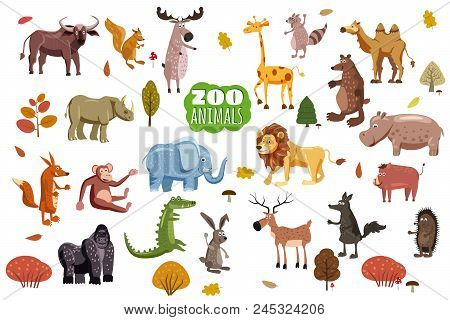 Big Set Of Wild Animals Cartoon Vectors. African, Australian, Asian, South And North American Fauna 