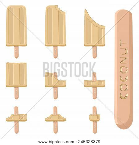 Vector Illustration Logo For Natural Nut Coconut Ice Cream On Stick. Ice Cream Pattern Consisting Of