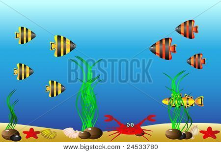 Sea life