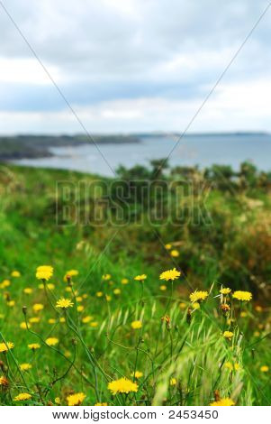 Wybrzeża Atlantyku w Brittany, Francja