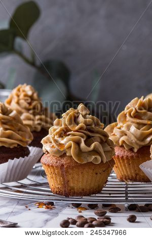 Fresh Baked Homemade Cupcakes With Coffee Buttercream And Caramel Standing On Cooling Rack With Euca