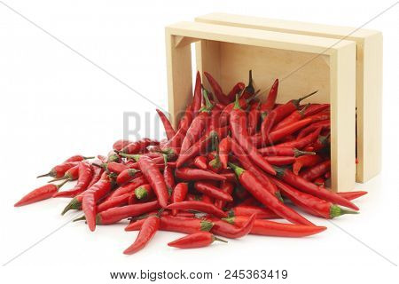red rawit peppers  (Capsicum annuum 'Bird's Eye') in a wooden box on a white background