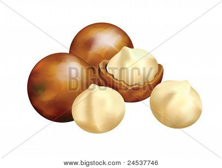 Noci di Macadamia.
