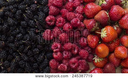 Fresh And Sweet Red Raspberries Texture Background. Raspberry Fruit Pile Background. Selection Of Fr
