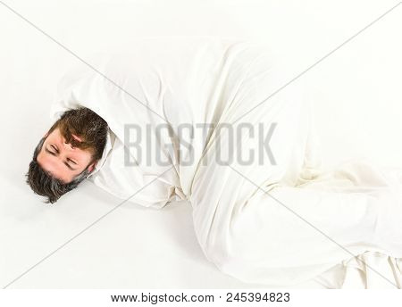 Hipster With Beard Fall Asleep, Wrapped In Blanket Like Cocoon. Man With Sleepy Face Sleeping. Deep 