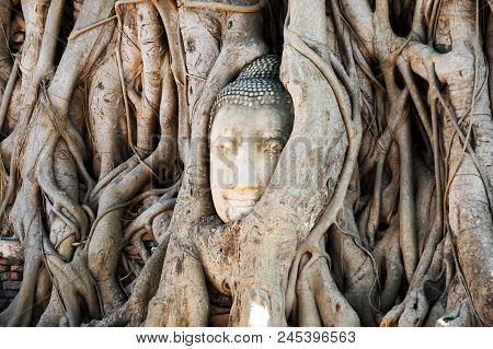 A Stone Head Of Buddha In Wat Prha Mahathat Temple
