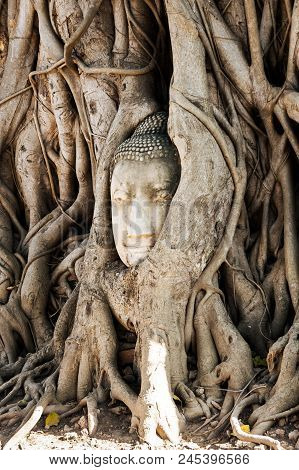 A Stone Head Of Buddha In Wat Prha Mahathat Temple