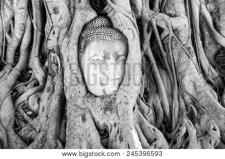 A Stone Head Of Buddha In Wat Prha Mahathat Temple
