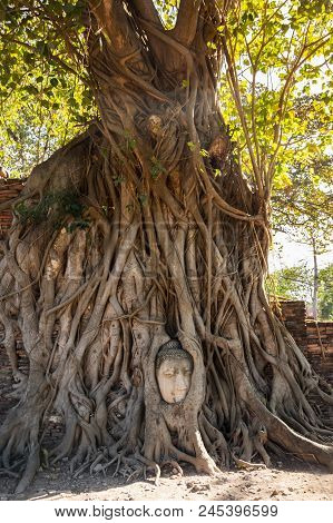 A Stone Head Of Buddha In Wat Prha Mahathat Temple