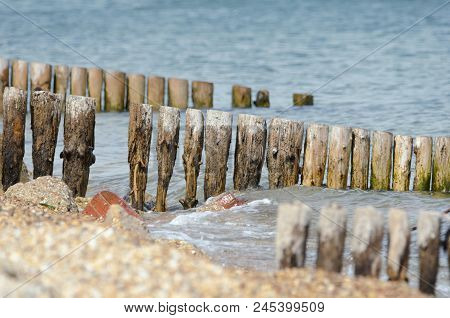 Decaying Wooden Breakwaters At Lepe Beach On The Solent