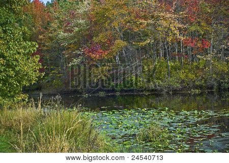 Turecko Brook podzim
