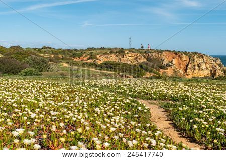 View To Lighthouse On Ponta Da Piedade In Lagos, Algarve, Portugal.