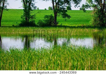 Lake And Green Meadow Near The Water In Sunny Day