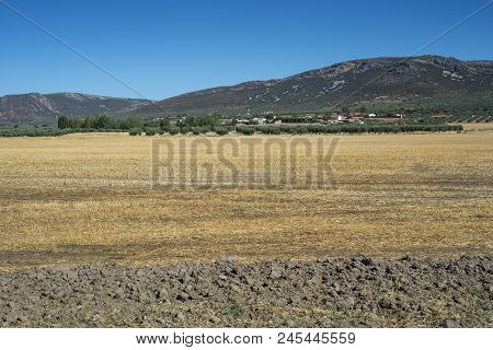 Small Hamlet In An Agricultural Landscape In La Mancha, Ciudad Real Province, Spain. In The Backgrou