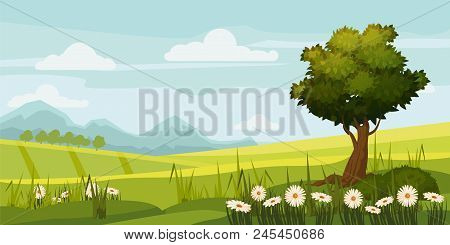 Cute Rural Landscape Tree, Field, Daisy Flowers