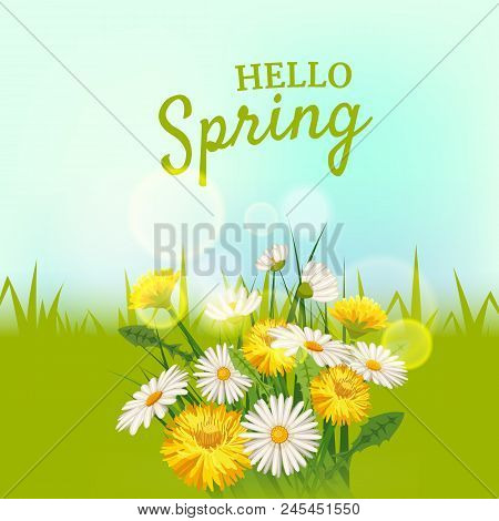 Daisies Flowers Spring Background, Cartoon Style, Vector, Illustration, Flyer, Banner