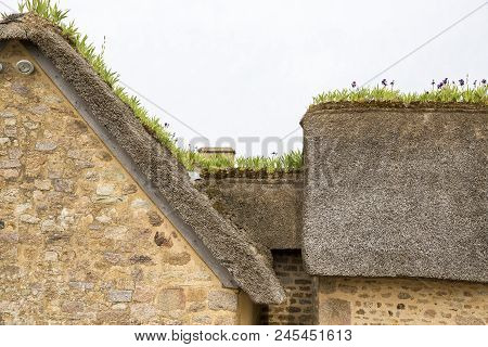 Iris On A Thachted Roof Of A Typical House Of Normandy, France