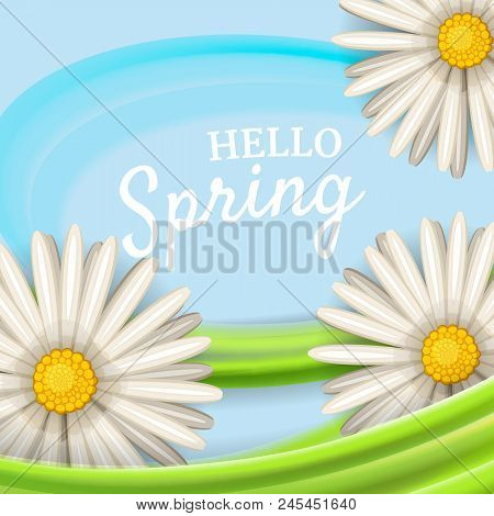 Daisies Flowers Spring Background, Cartoon Style, Vector, Illustration Flyer Banner