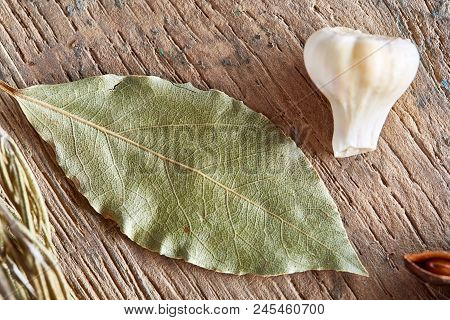 Organic Bay Leaf And Garlic On Wooden Board, Top View, Close-up, Selective Focus. Natural Organic Se