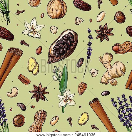 Pattern Nuts And Spices Line Drawn On A White Background. Sketch Of Food. Walnut, Cocoa Beans, Vanil